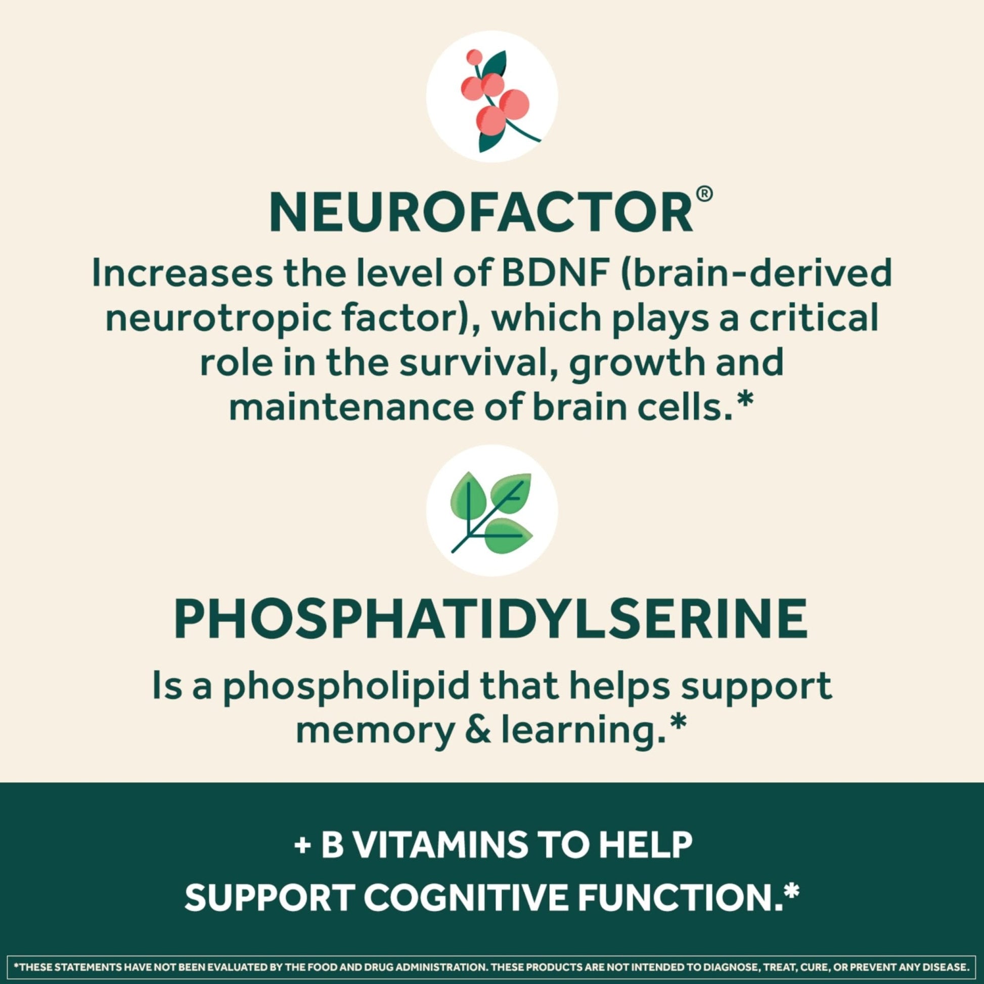NEURIVA Plus Brain Supplement for Memory and Focus Clinically Tested Nootropics for Concentration for Mental Clarity, Cognitive Enhancement Vitamins B6, B12 - Maple Wellness Supplements
