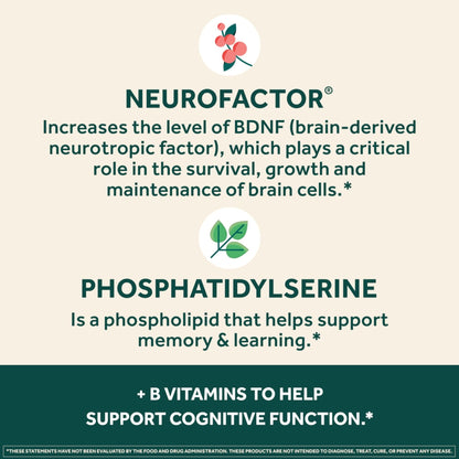 NEURIVA Plus Brain Supplement for Memory and Focus Clinically Tested Nootropics for Concentration for Mental Clarity, Cognitive Enhancement Vitamins B6, B12 - Maple Wellness Supplements
