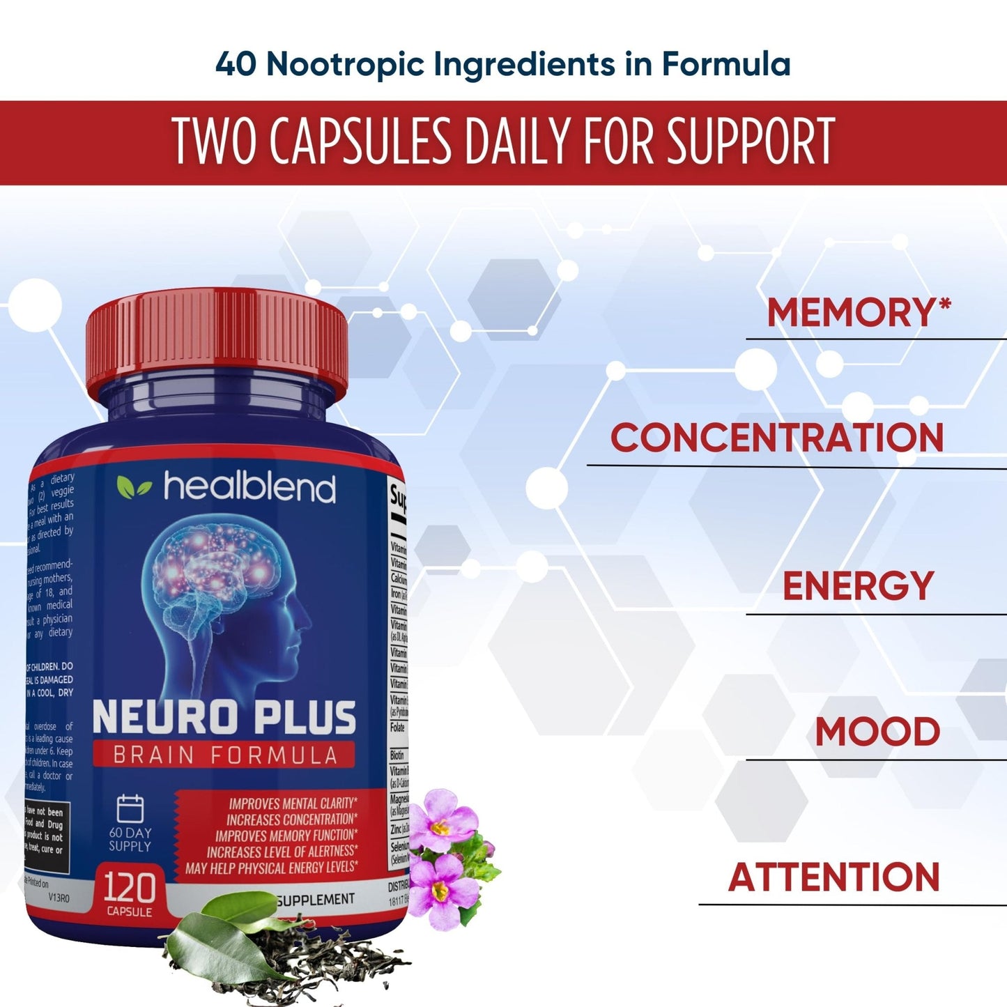 Neuro Plus Brain & Focus Formula - Nootropic Brain Booster Supplement, Supports Brain Health, Mental Clarity & Focus - Enhances Concentration & Mental Energy – 120 Capsules (1) - Maple Wellness Supplements
