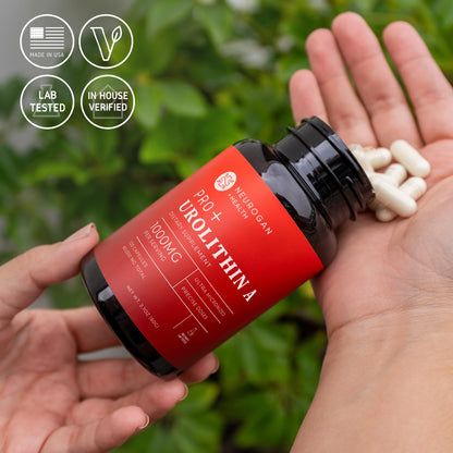 Neurogan Urolithin A PRO Capsules - 1000mg, 120 Ct - Advanced Cellular Health, Post Biotic Supplements - Ultra Micronized Urolithin A Supplement, Sourced from Pomegranate Extract - Maple Wellness Supplements