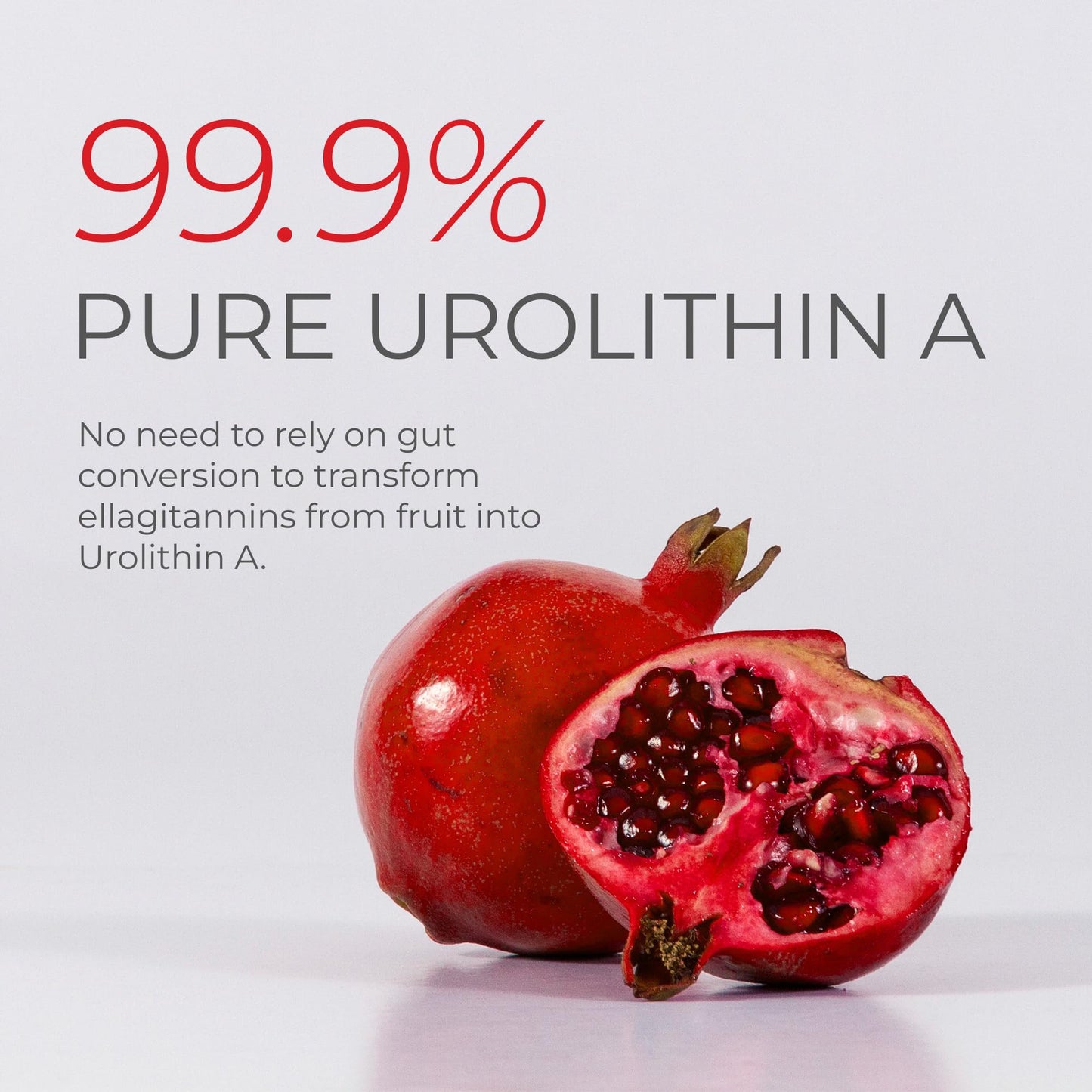 Neurogan Urolithin A PRO Capsules - 1000mg, 120 Ct - Advanced Cellular Health, Post Biotic Supplements - Ultra Micronized Urolithin A Supplement, Sourced from Pomegranate Extract - Maple Wellness Supplements
