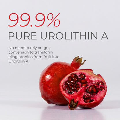 Neurogan Urolithin A PRO Capsules - 1000mg, 120 Ct - Advanced Cellular Health, Post Biotic Supplements - Ultra Micronized Urolithin A Supplement, Sourced from Pomegranate Extract - Maple Wellness Supplements