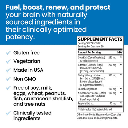 NeuroQ Memory & Focus | Formulated by Neurologist Dr. Dale Bredesen | Addresses All 4 Causes of Cognitive Decline | Ginkgo Biloba, Phosphatidylserine, Gotu Kola, - Maple Wellness Supplements
