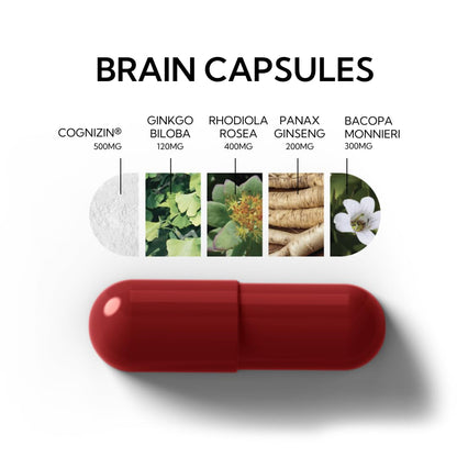 Neutonic Nootropic Brain Supplement | 1 Month Supply 90 Capsules | for Men and Women | Support Memory, Mental Clarity, Cognitive Function | Boost Focus, Energy, Brain Health - Maple Wellness Supplements