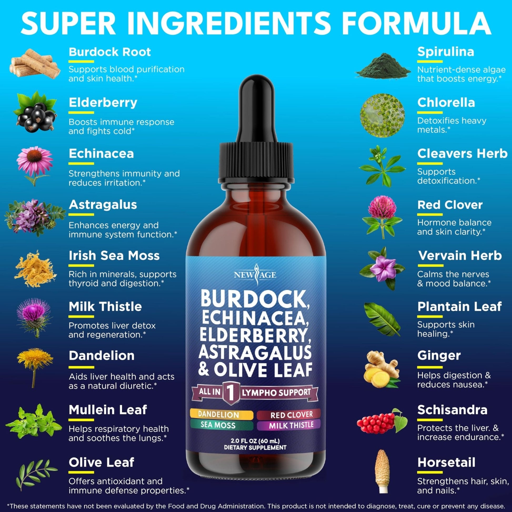NEW AGE Lymphatic Drainage Supplement - Burdock Lymphatic Support Drops - Burdock Root, Mullein, Echinacea, Elderberry, Dandelion, Astragalus, Milk Thistle, Red Clover - 4 oz - Maple Wellness Supplements