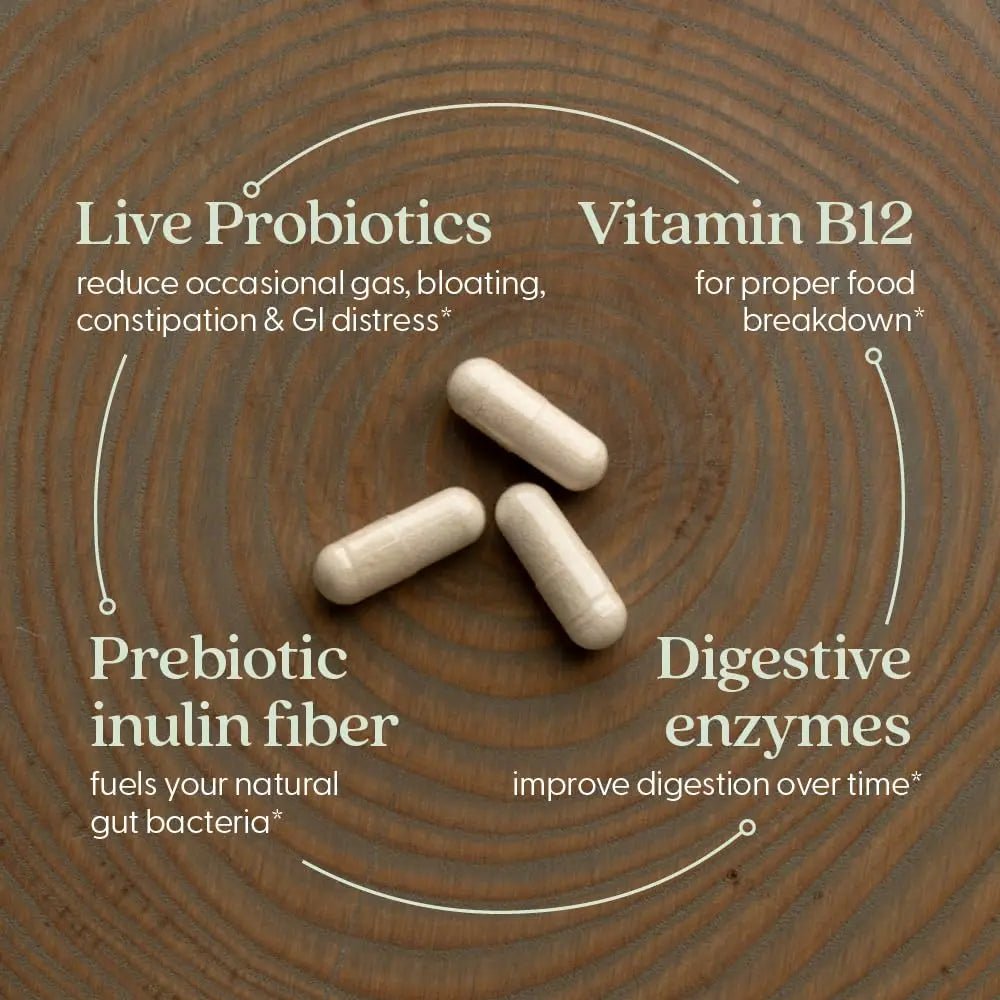 New Chapter All-Flora Enzyme Complex with Probiotics Relieves Bloating & Gas - Clinical-Strength Digestive Enzymes + Ultra-Concentrated Probiotics + Fermented Vitamin B12, 90 Vegan Capsules - Maple Wellness Supplements