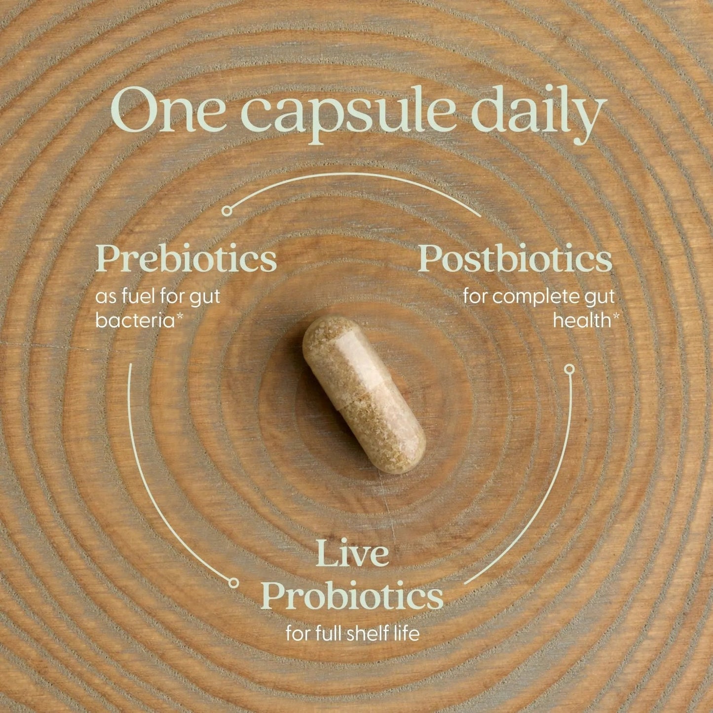 New Chapter All-Flora Probiotic for Advanced Digestion & Complete Gut Health with Prebiotics + Postbiotics, Clinical-Strength Strains, 100% Vegetarian, Non-GMO, Shelf Stable - 60 ct (2 Month Supply) - Maple Wellness Supplements
