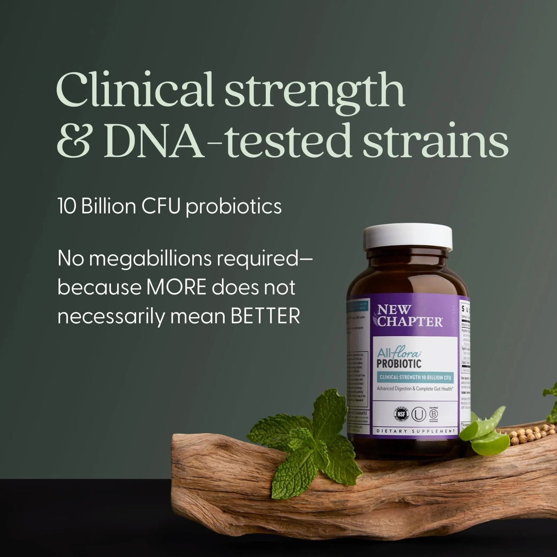 New Chapter All-Flora Probiotic for Advanced Digestion & Complete Gut Health with Prebiotics + Postbiotics, Clinical-Strength Strains, 100% Vegetarian, Non-GMO, Shelf Stable - 60 ct (2 Month Supply) - Maple Wellness Supplements