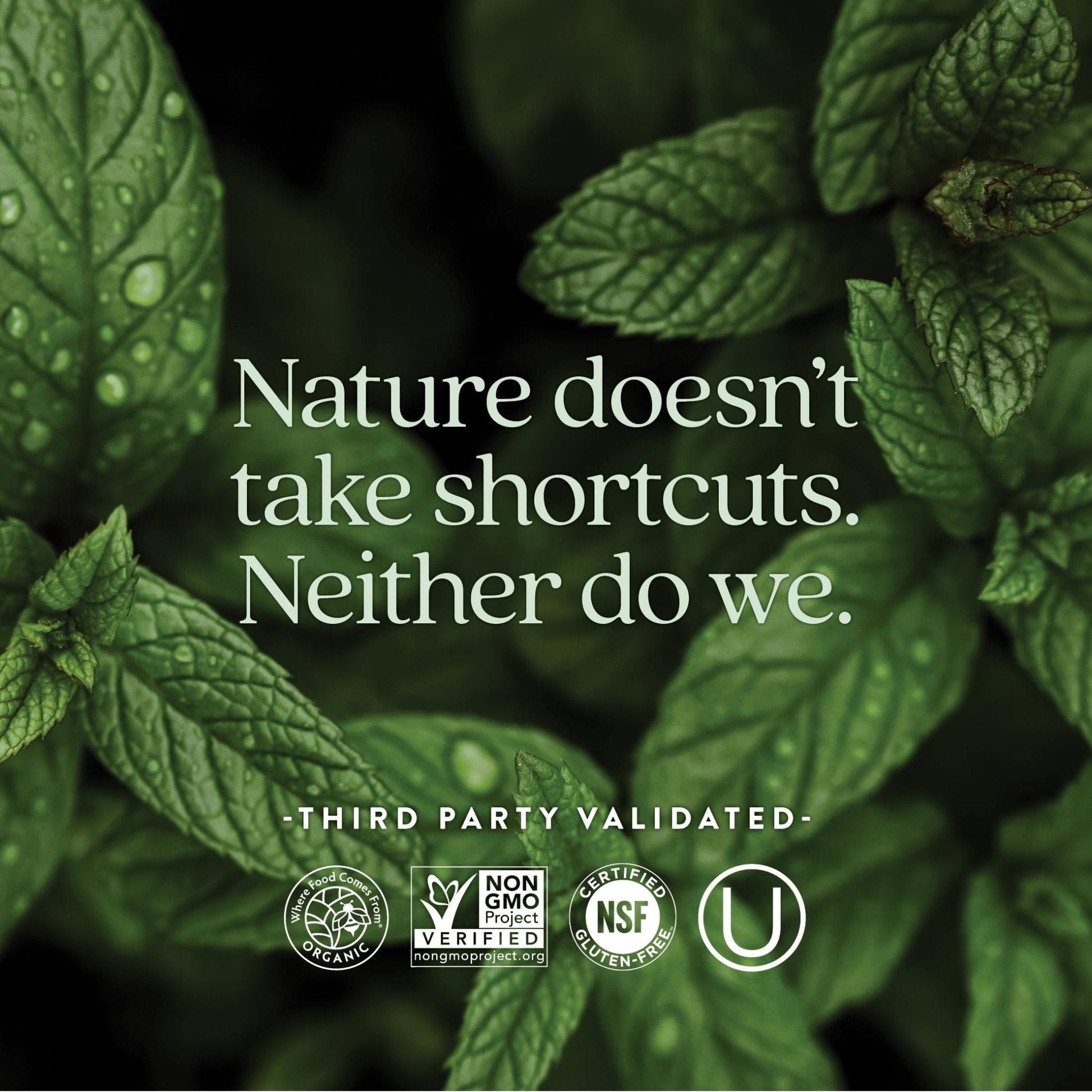 New Chapter Women’s Multivitamin 55+, Astaxanthin, B6, B12, D3, Vitamin C & Zinc, Immune, Heart, Cellular Energy, and Bone Support, Gentle on The Stomach - Maple Wellness Supplements