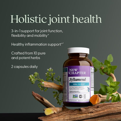 New Chapter Zyflamend™ Joint Supplement & Herbal Pain Relief – 10-in-1 Superfood Blend with Turmeric, Ginger & Green Tea - for Healthy Inflammation Response, Mobility & Flexibility, 60 Capsules - Maple Wellness Supplements
