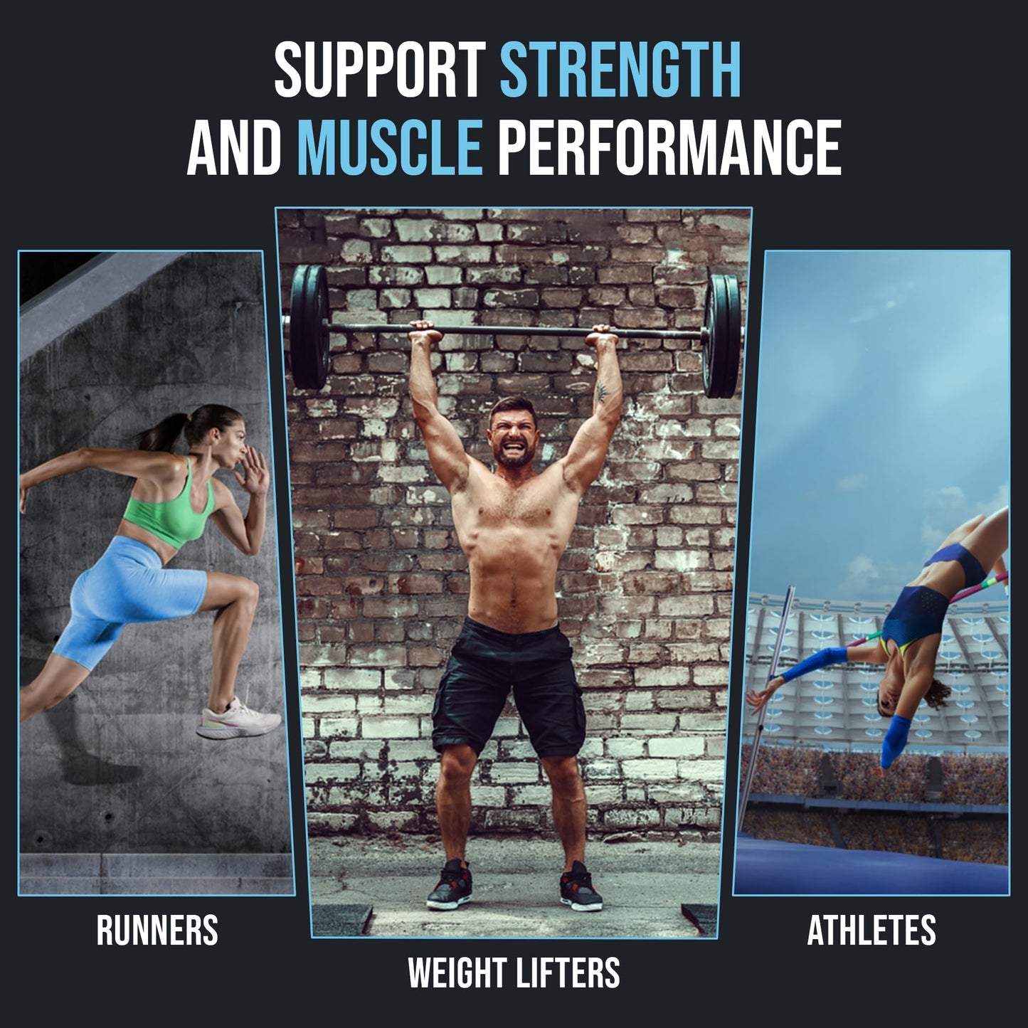 NHHS Micronized Creatine Monohydrate – Supports Strength & Muscle Performance | Ultra-Pure, Unflavored, 60 Servings, 300 Grams – Made in USA, Gluten-Free, Non-GMO - Maple Wellness Supplements