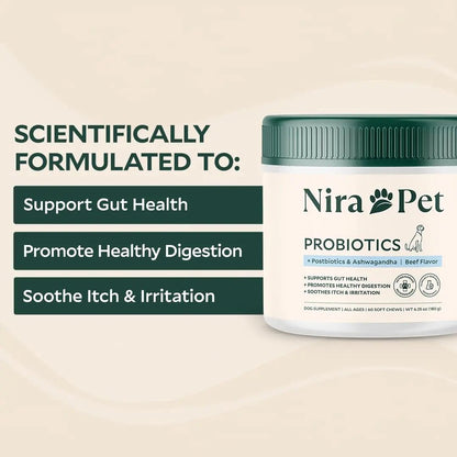 Nira Pet Probiotics for Dogs – 60 Beef-Flavored Chews with Postbiotics, Colostrum, Ashwagandha & Lactobacillus – Supports Gut Health, Immunity, Diarrhea, Gas & Stress - Maple Wellness Supplements