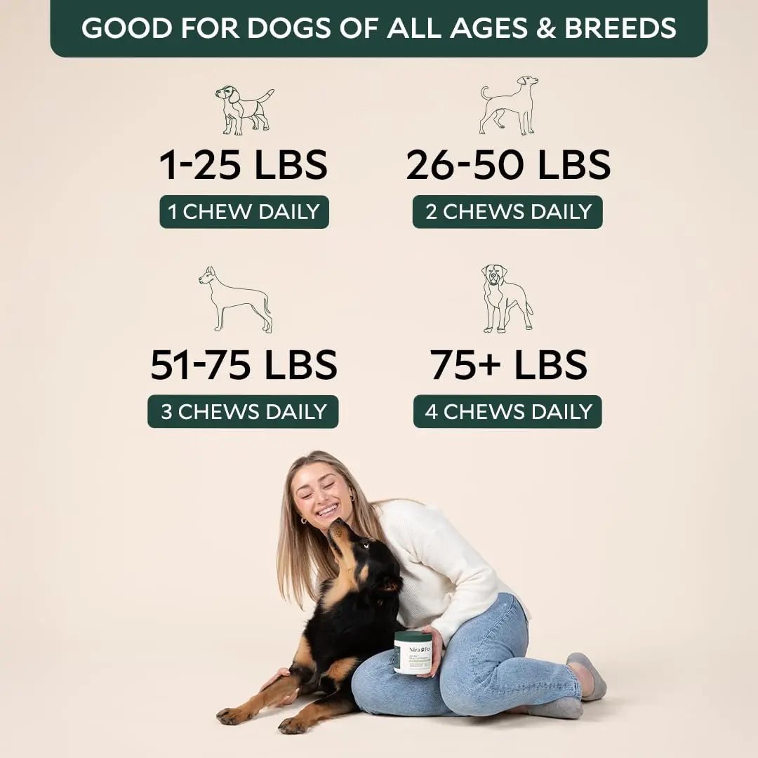 Nira Pet Probiotics for Dogs – 60 Beef-Flavored Chews with Postbiotics, Colostrum, Ashwagandha & Lactobacillus – Supports Gut Health, Immunity, Diarrhea, Gas & Stress - Maple Wellness Supplements