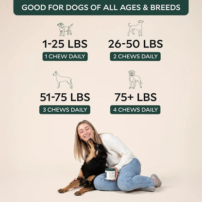 Nira Pet Probiotics for Dogs – 60 Beef-Flavored Chews with Postbiotics, Colostrum, Ashwagandha & Lactobacillus – Supports Gut Health, Immunity, Diarrhea, Gas & Stress - Maple Wellness Supplements