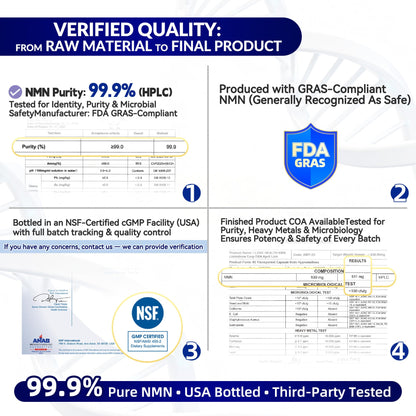 NMN 500MG Per Capsule – High Purity 99.9% NMN, NAD+ Support for Cellular Energy & Healthy Aging, 60 Capsules, Third-Party Tested, cGMP Made in USA - Maple Wellness Supplements