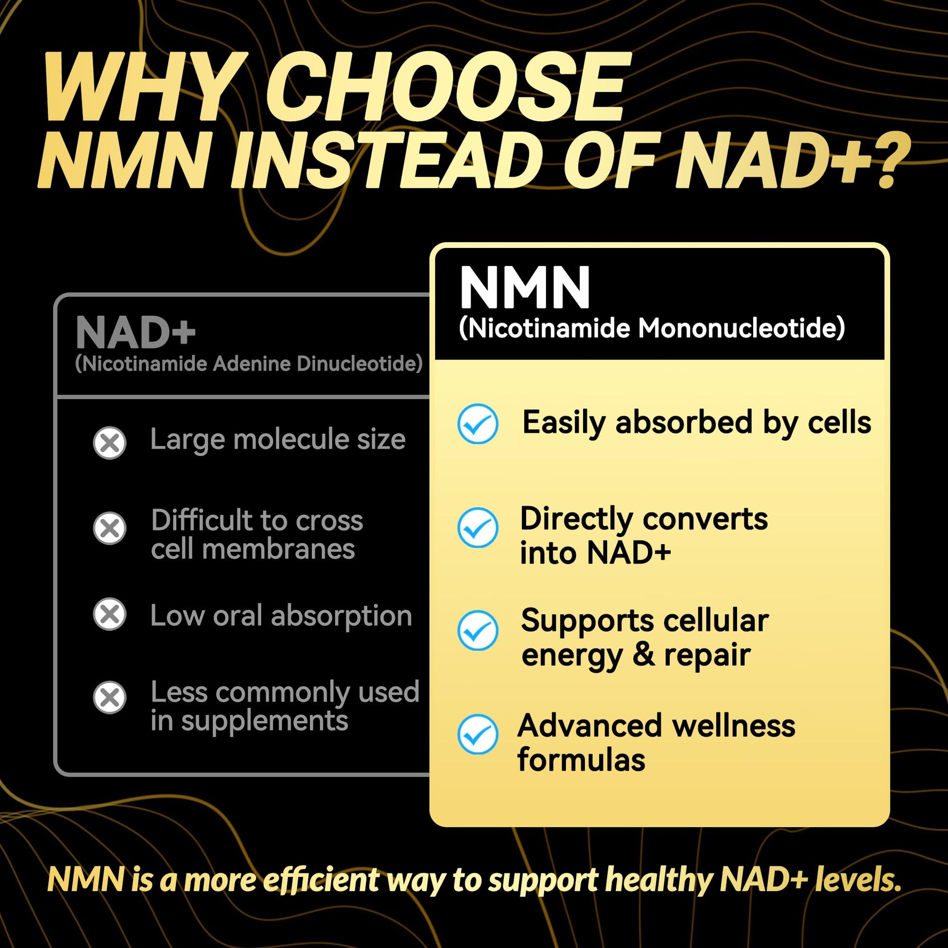 NMN 500MG Per Capsule – High Purity 99.9% NMN, NAD+ Support for Cellular Energy & Healthy Aging, 60 Capsules, Third-Party Tested, cGMP Made in USA - Maple Wellness Supplements