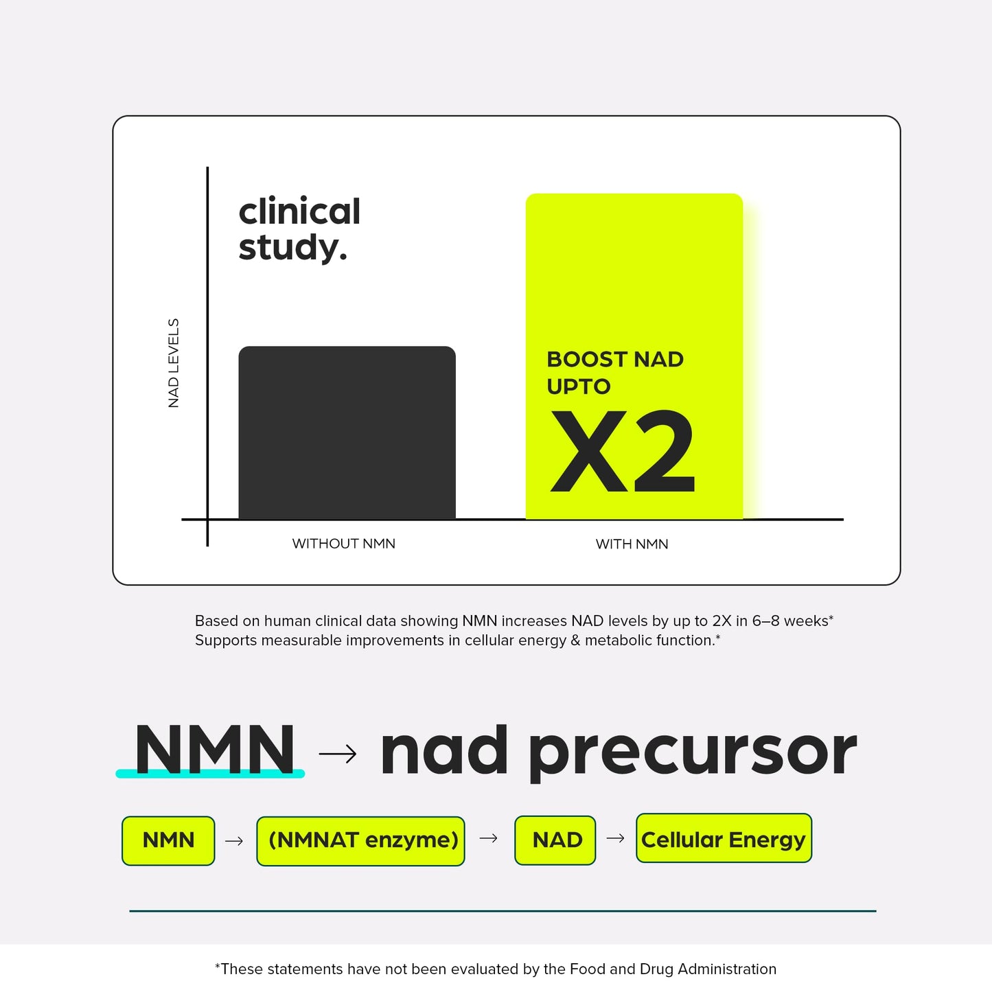 NMN Supplement 8957mg with Real NAD+ Not Just a Booster | Urolithin A, Resveratrol, CoQ10, Alpha Lipoic Acid, Green Tea Extract | Cellular Longevity & Energy Support for Men & Women - Maple Wellness Supplements