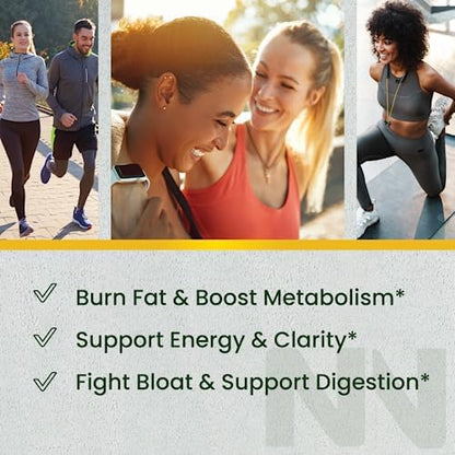 Nobi Nutrition Green Tea Fat Burner Gummies for Weight Loss | Metabolism Boost - Maple Wellness Supplements