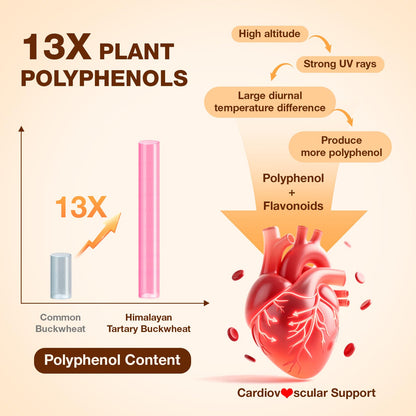 Nokuba Polyphenols Supplement for Immune Support | Himalayan Tartary Buckwheat Sourced | Polyphenol Superfood with Quercetin, Curcumin | Immune Booster, Antioxidant, Anti-inflammatory - 120 Capsules - Maple Wellness Supplements