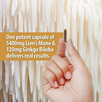NooMost Organic Lions Mane Supplement Capsules 5400mg, Ginkgo Biloba 120mg - Maple Wellness Supplements