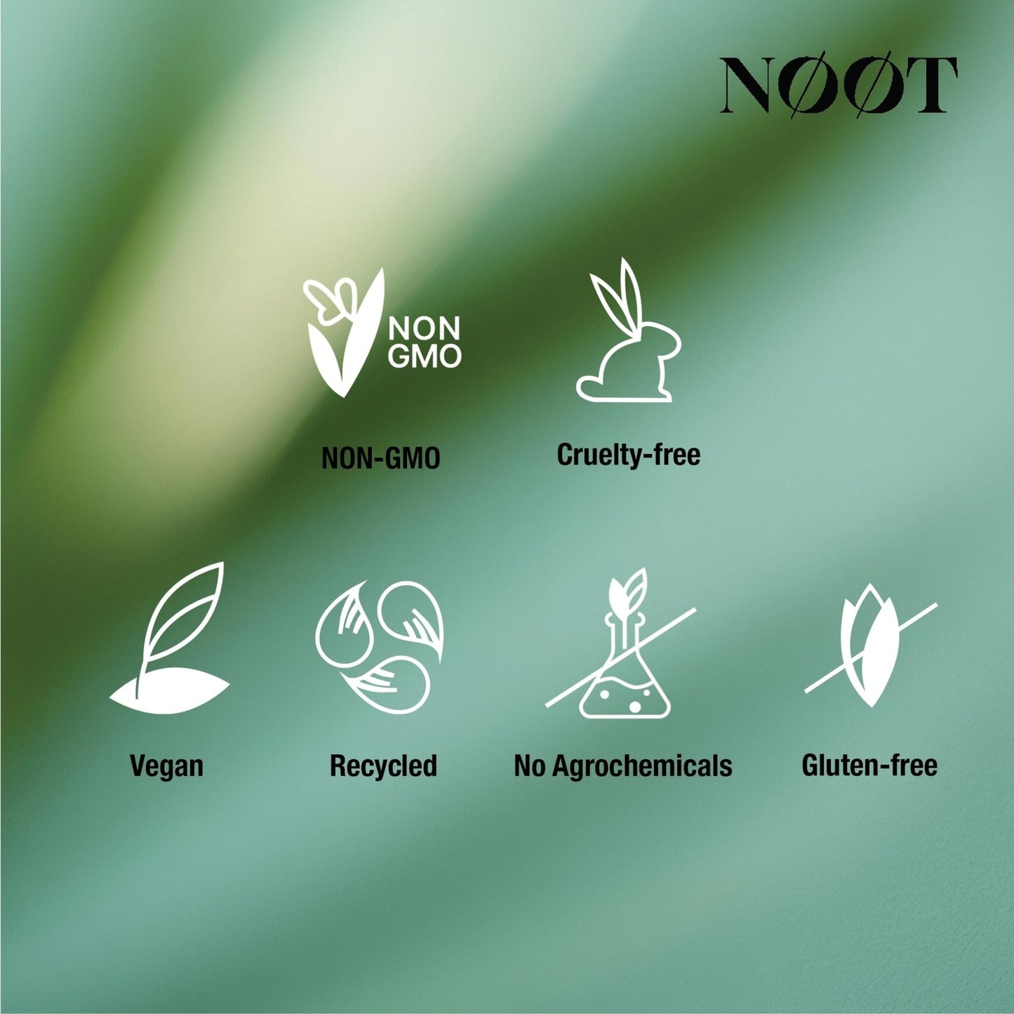 NOOT Menopause Harmony - Menopause Supplements for Women, Night Sweats & Hot Flash Relief, Hormone Balance for Women with Aguaje Fruit, Genistein and Vitex, Biohacking & Nootropics, 60 Capsules - Maple Wellness Supplements