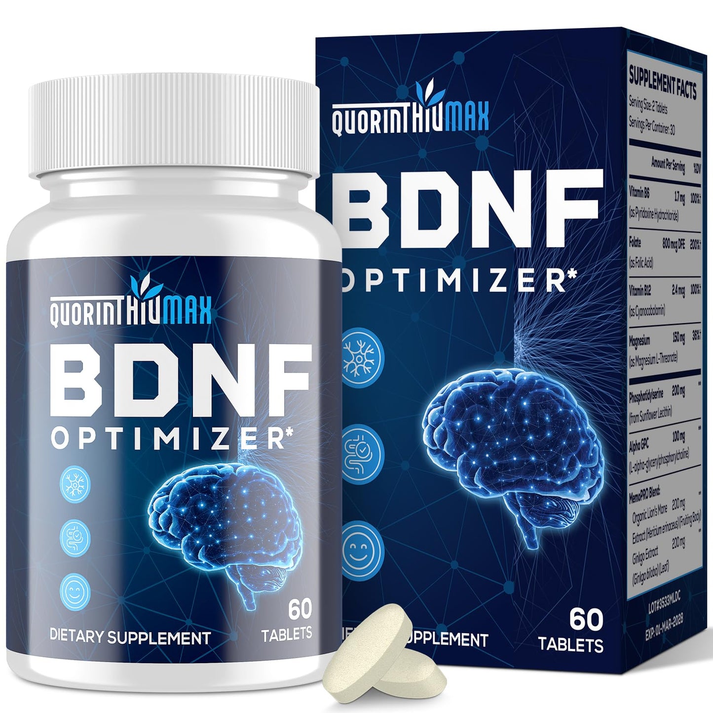 Nootropic Brain Supplement for Memory and Focus – BDNF Optimizer – Cognitive, Mental Clarity & Mood – High Absorption – Organic Lion's Mane, L-Theanine, Ginkgo Biloba & Alpha GPC – 60 Tablets - Maple Wellness Supplements
