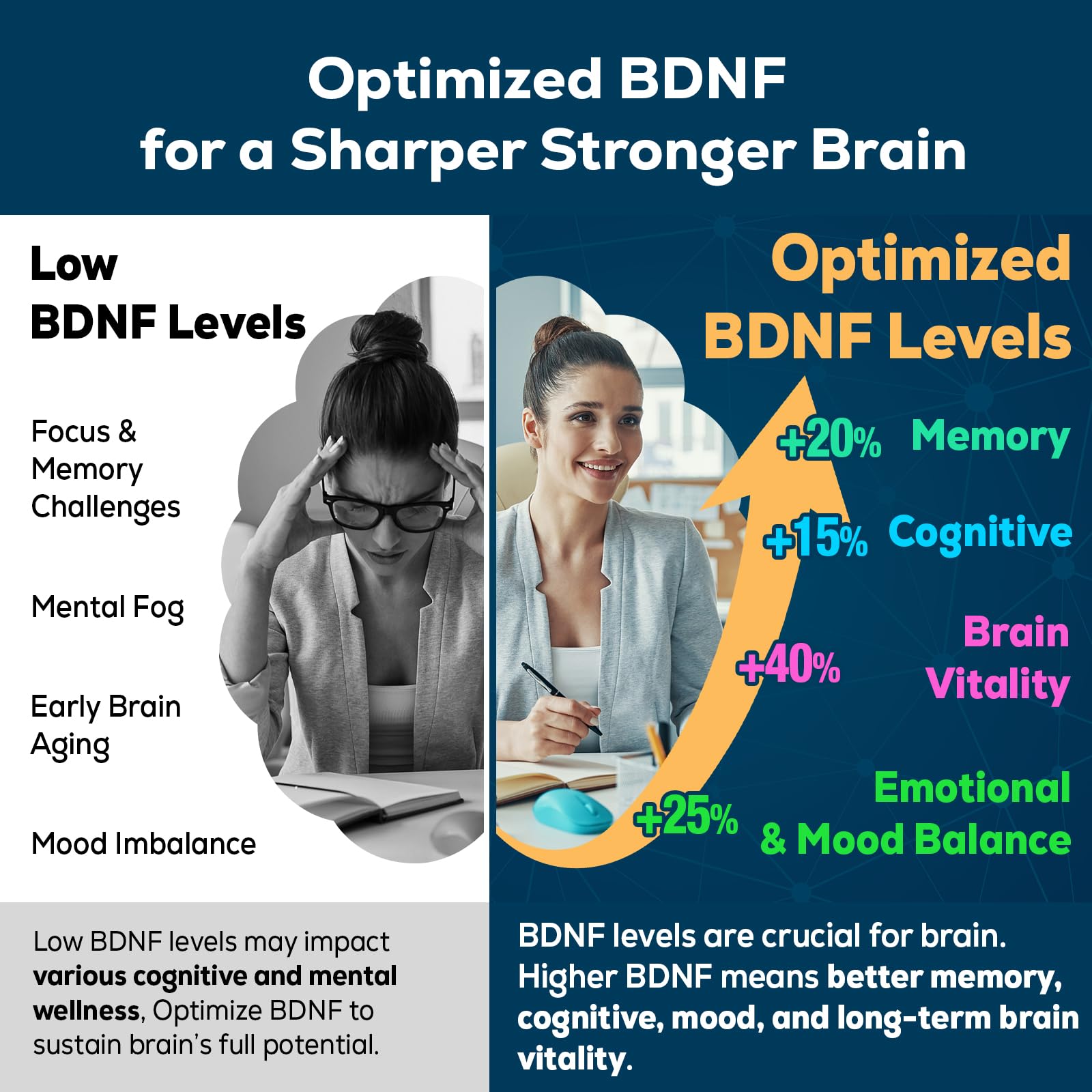Nootropic Brain Supplement for Memory and Focus – BDNF Optimizer – Cognitive, Mental Clarity & Mood – High Absorption – Organic Lion's Mane, L-Theanine, Ginkgo Biloba & Alpha GPC – 60 Tablets - Maple Wellness Supplements
