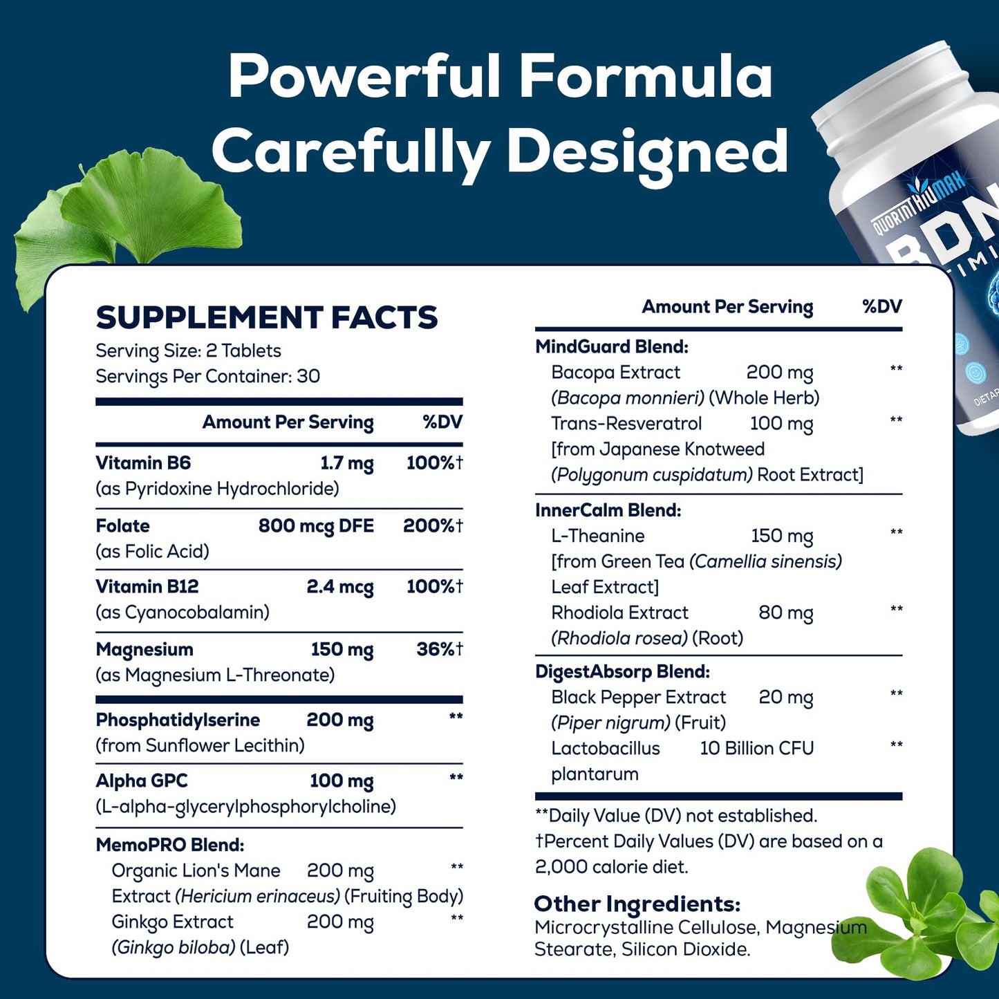 Nootropic Brain Supplement for Memory and Focus – BDNF Optimizer – Cognitive, Mental Clarity & Mood – High Absorption – Organic Lion's Mane, L-Theanine, Ginkgo Biloba & Alpha GPC – 60 Tablets - Maple Wellness Supplements