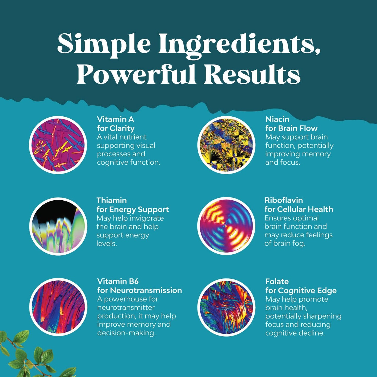 Nootropic Brain Supplement for Memory and Focus Enhancement - Vitamins for Mental Health & Clarity with VIT A, B6, Riboflavin, Niacin, Thiamin & Folate - Cognitive Complex for Mind Vitality - 60 Ct - Maple Wellness Supplements