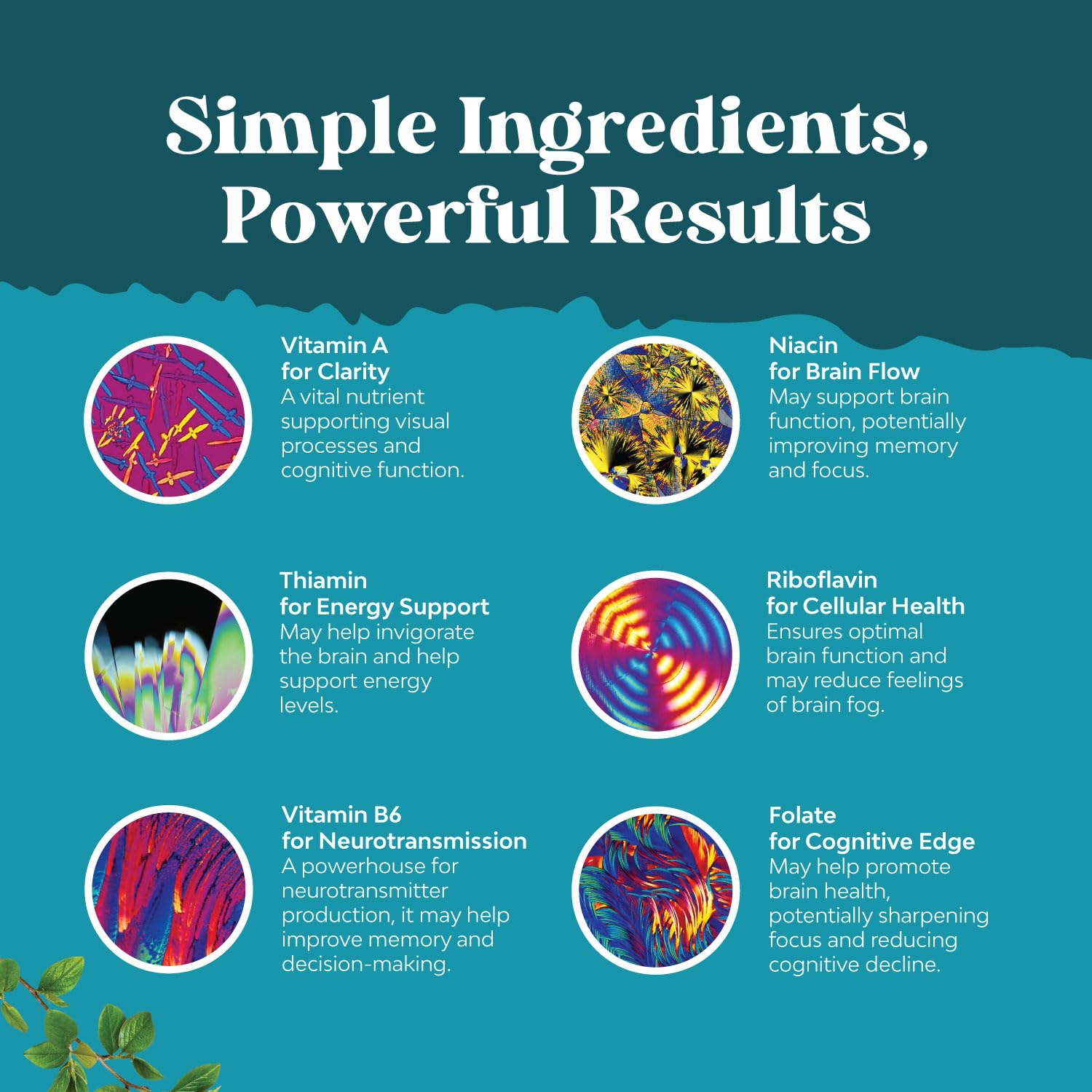Nootropic Brain Supplement for Memory and Focus Enhancement - Vitamins for Mental Health & Clarity with VIT A, B6, Riboflavin, Niacin, Thiamin & Folate - Cognitive Complex for Mind Vitality - 60 Ct - Maple Wellness Supplements