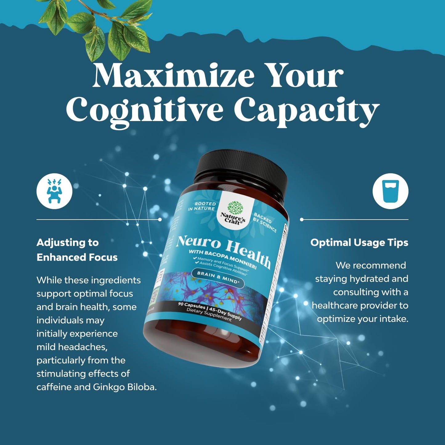 Nootropic Brain Supplement for Memory and Focus Support - Vitamins for Mental Support & Clarity with Bacopa Monnieri, VIT A, B6, Riboflavin, Niacin - Maple Wellness Supplements
