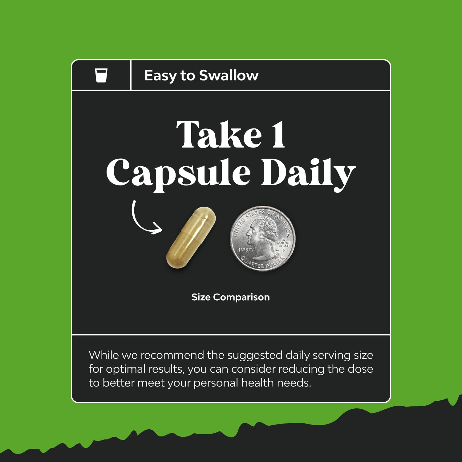 Nootropic Memory Supplement for Brain Support - Memory Pills for Brain Boost and Natural Energy Booster - Vitamin B 12 Bacopa Monnieri Rhodiola Rosea DMAE Ginkgo Biloba Phosphatidylserine Supplement - Maple Wellness Supplements