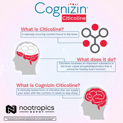 Nootropics Depot Cognizin Citicoline Capsules | 60 Count | Choline Supplement | Brain Health Supplement | Regulates Memory and Cognitive Function | Supports Attention, Focus and Recall - Maple Wellness Supplements