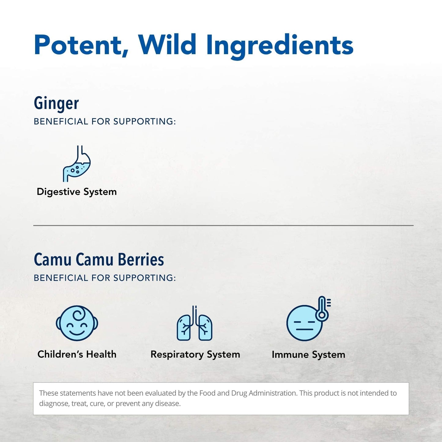 NORTH AMERICAN HERB & SPICE Inflam-eeZ - 90 Capsules - Supports Healthy Immune & Inflammatory Response - Ginger Root, Camu Camu Berries, Bromelain & Papain Plus - Non-GMO - 45 Total Servings - Maple Wellness Supplements