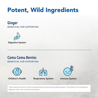 NORTH AMERICAN HERB & SPICE Inflam-eeZ - 90 Capsules - Supports Healthy Immune & Inflammatory Response - Ginger Root, Camu Camu Berries, Bromelain & Papain Plus - Non-GMO - 45 Total Servings - Maple Wellness Supplements