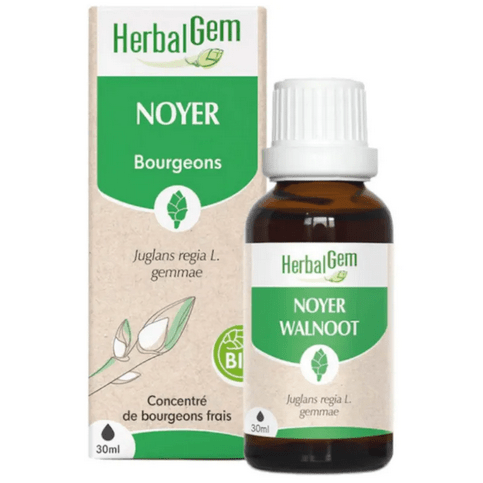 Noyer BIO Macérat mère bourgeons Flacon 50 ml HERBALGEM - Maple Wellness Supplements