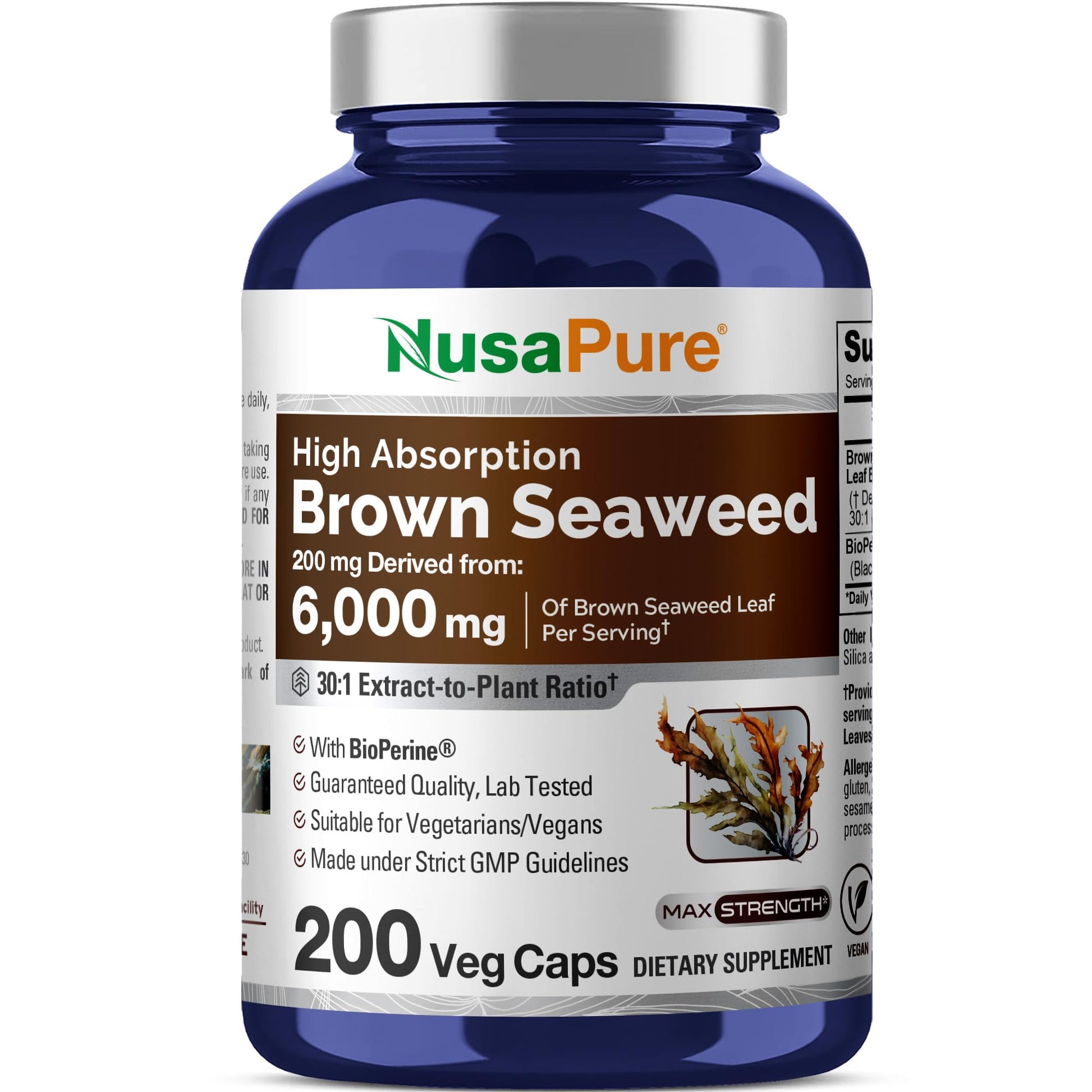 NusaPure Brown Seaweed 30:1 Extract, 200 mg Equivalent to 6,000 mg 200 Veggie Capsules - (Vegan, Non-GMO Bioperine) - Maple Wellness Supplements