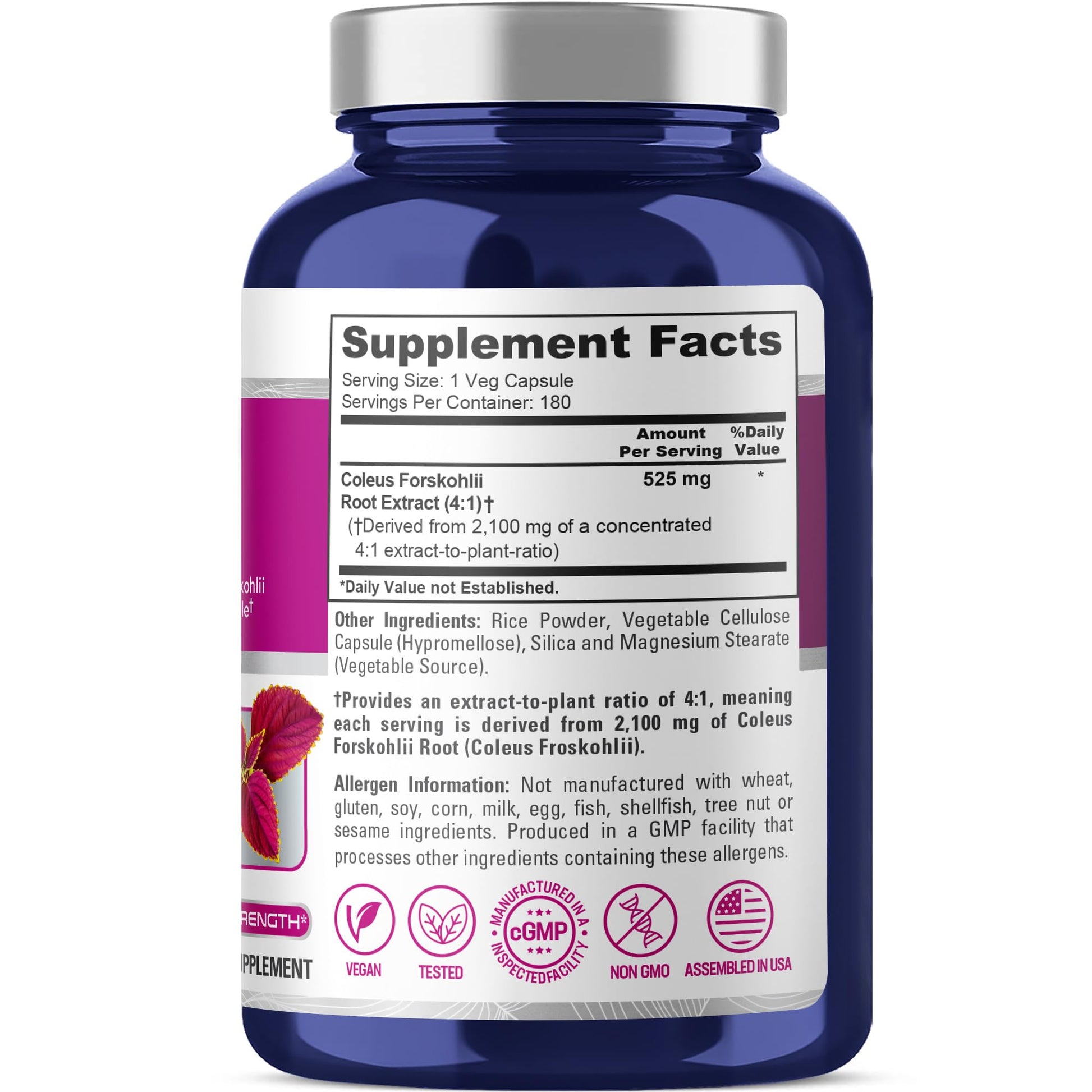 NusaPure Forskohlii 4:1 Extract, 525 mg Equivalent to 21,00 mgper Veggie Caps - 180 Capsules (Non-GMO, Vegan & Gluten Free) - Maple Wellness Supplements