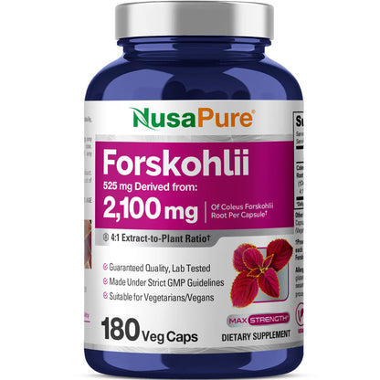 NusaPure Forskohlii 4:1 Extract, 525 mg Equivalent to 21,00 mgper Veggie Caps - 180 Capsules (Non-GMO, Vegan & Gluten Free) - Maple Wellness Supplements