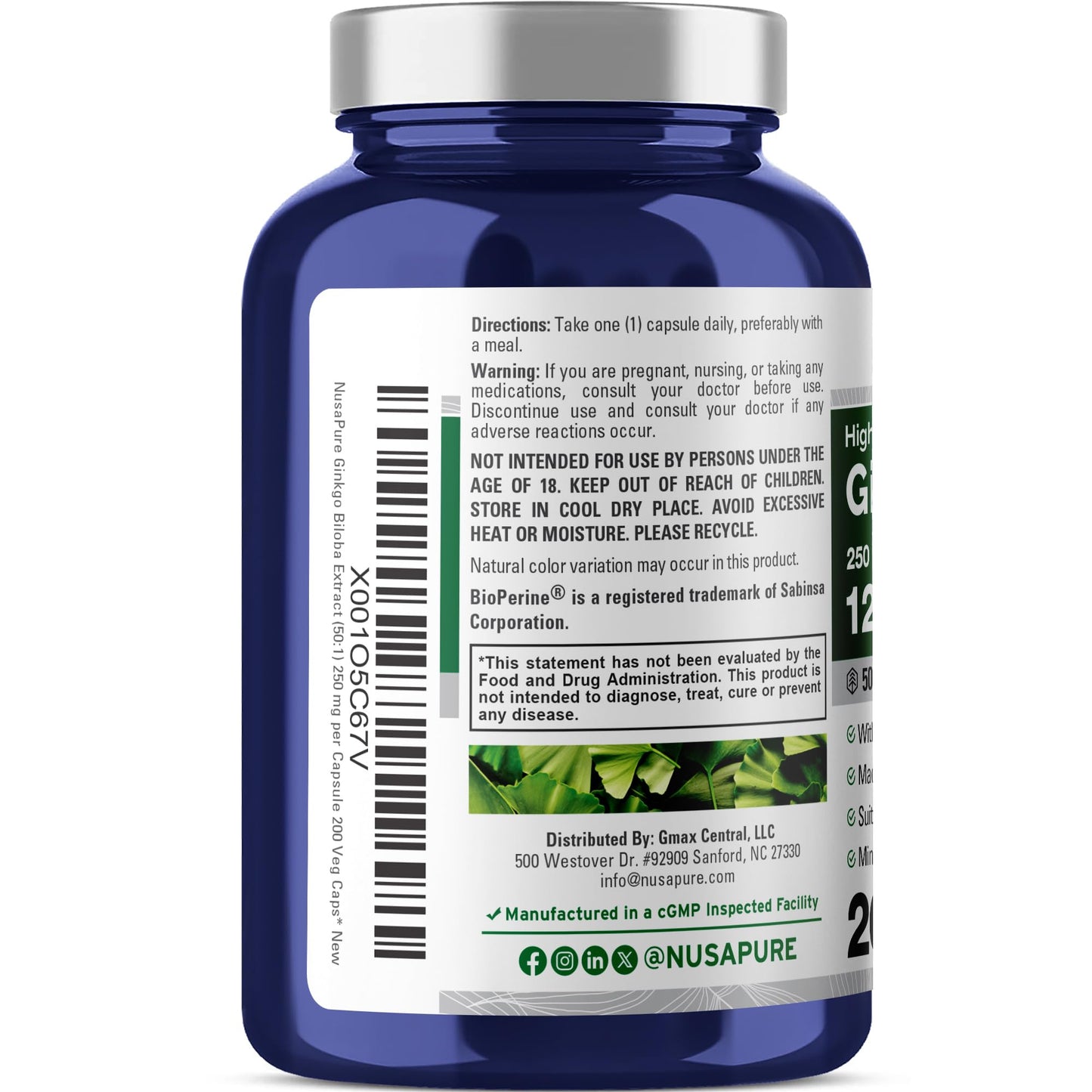 NusaPure Ginkgo Biloba 50:1 Extract, 250 mg Equivalent to 12,500 mg per Veggie Caps 200 Capsules (Vegetarian, Non-GMO, Vegan) Bioperine - Maple Wellness Supplements