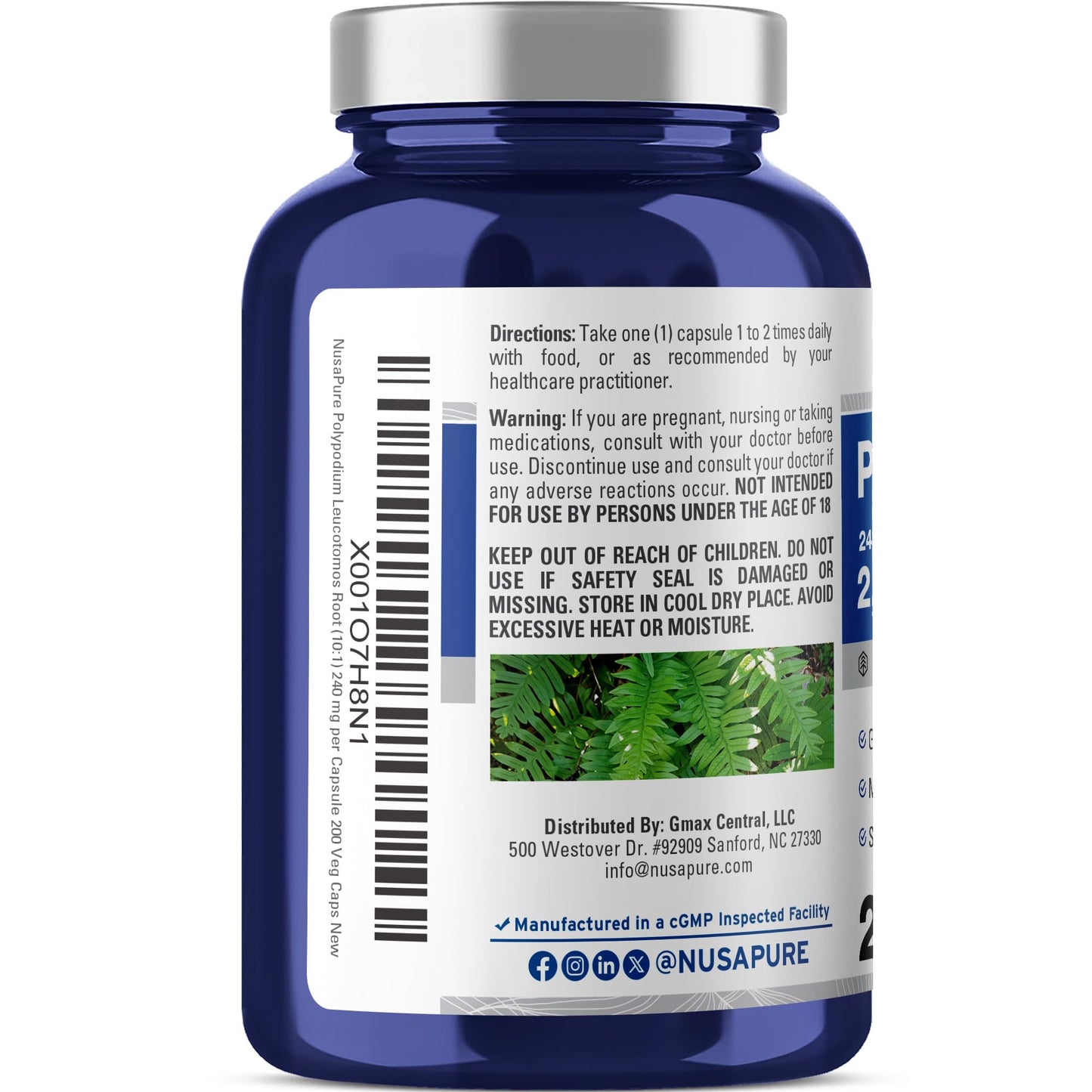NusaPure Polypodium Leucotomos 10:1 Extract, 240 mg Equivalent to 2400mg 200 Veggie Capsules (Vegetarian, Non-GMO, Vegan) - Maple Wellness Supplements