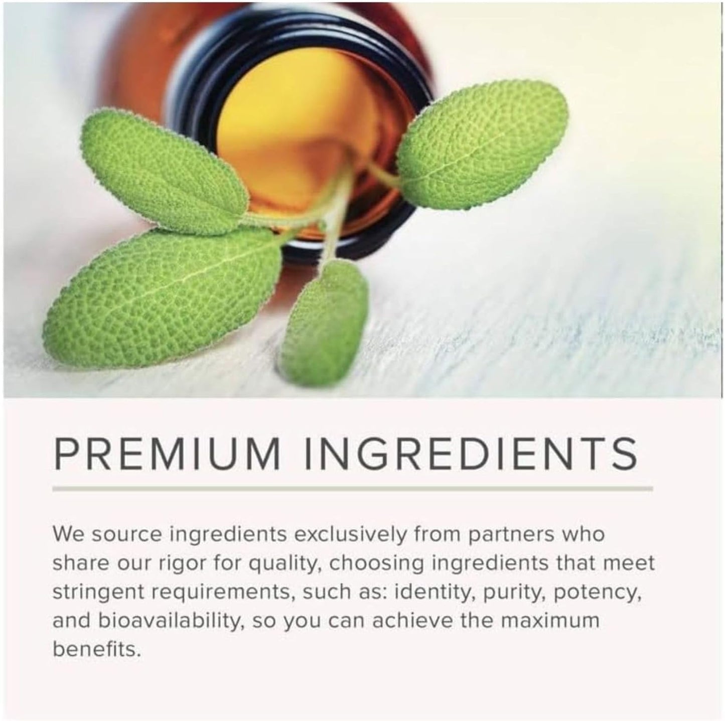 NusaPure Royal Jelly 10:1 Extract, 400 mg Equivalent to 4000mg - 120 Veggie Capsules (Non-GMO, Dairy Free, Dietary Supplement) - Maple Wellness Supplements