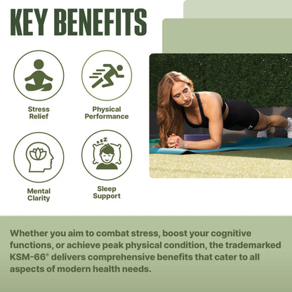 NutraBio Ashwagandha KSM-66 | Ashwagandha Herbal Supplement for Stress, Mood, & Performance | 600 MG of Clinically Studied KSM66 60 Capsules - Maple Wellness Supplements