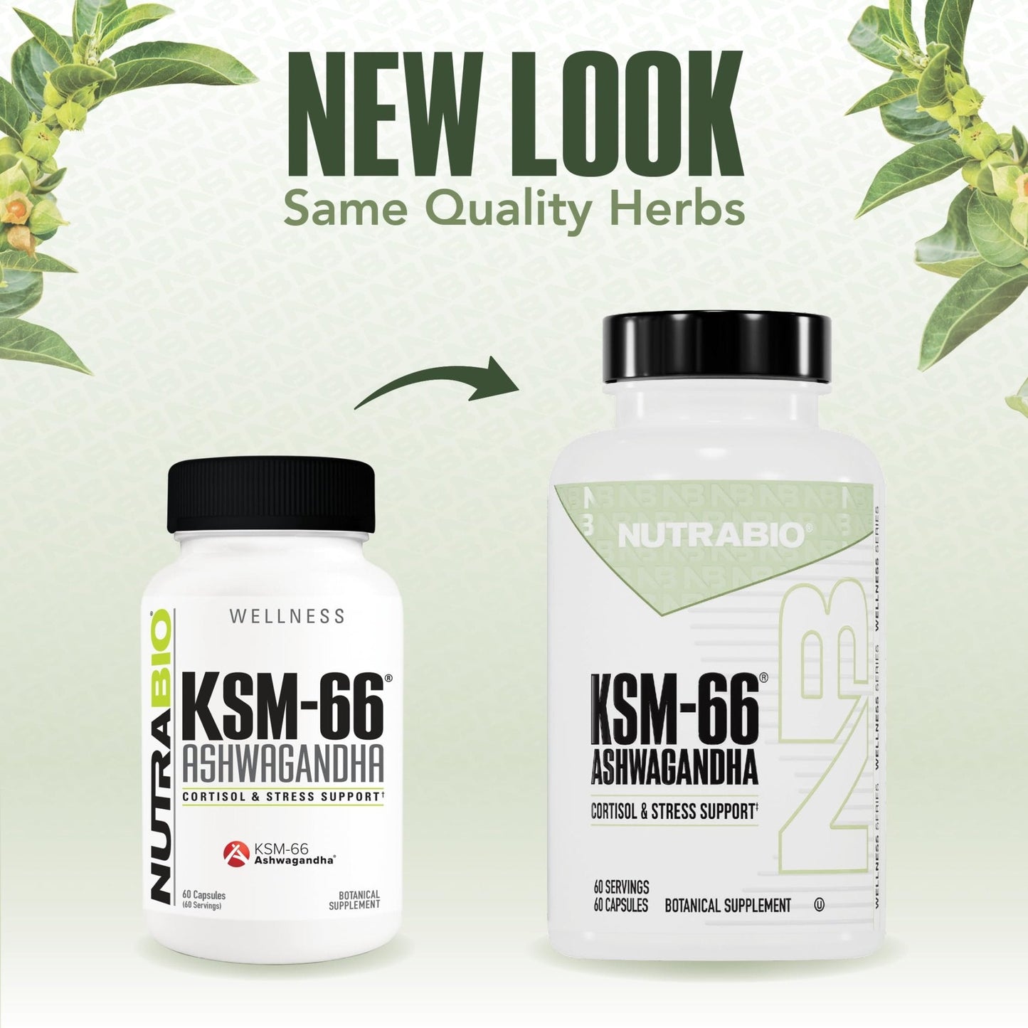 NutraBio Ashwagandha KSM-66 | Ashwagandha Herbal Supplement for Stress, Mood, & Performance | 600 MG of Clinically Studied KSM66 60 Capsules - Maple Wellness Supplements