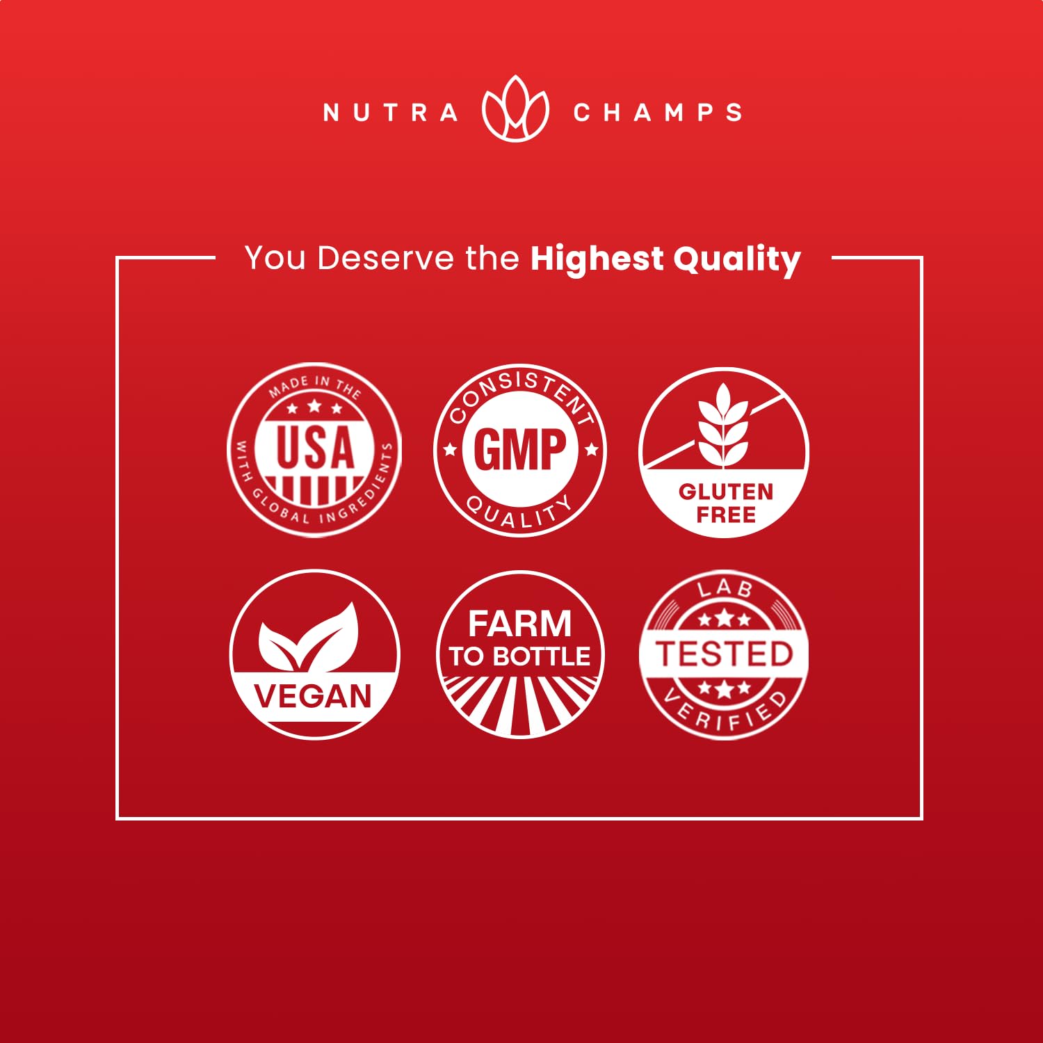 NutraChamps Korean Red Panax Ginseng Capsules | Extra Strength Ginsenosides for Energy, Focus, Performance, Vitality & Immune Support - Maple Wellness Supplements