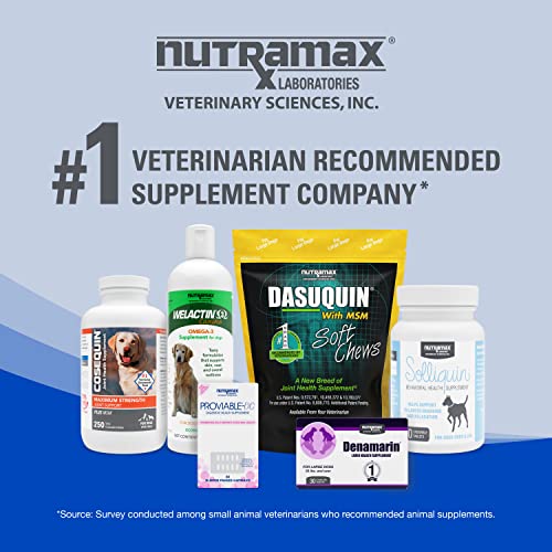 Nutramax Cobalequin B12 Supplement for Cats and Small Dogs, 45 Count (Pack of 1) - Maple Wellness Supplements