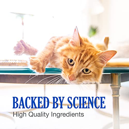 Nutramax Cobalequin B12 Supplement for Cats and Small Dogs, 45 Count (Pack of 1) - Maple Wellness Supplements