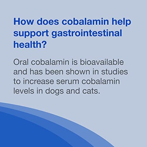 Nutramax Cobalequin B12 Supplement for Cats and Small Dogs, 45 Count (Pack of 1) - Maple Wellness Supplements