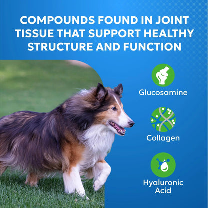 Nutramax Cosequin Elements Dog Joint Health Supplement with Glucosamine, Green Lipped Mussel, Omega-3s, Eggshell Membrane, Hyaluronic Acid, & Postbiotics, 75 Tasty Chewable Tablets for Dogs - Maple Wellness Supplements