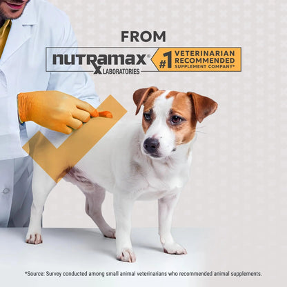 Nutramax Filaquin Anal Gland Supplement for Dogs, from The Same Company as Cosequin & Proviable, with Pre & Postbiotics and Psyllium Husk Fiber to Support Anal Gland Health, 90 Count Soft Chews - Maple Wellness Supplements